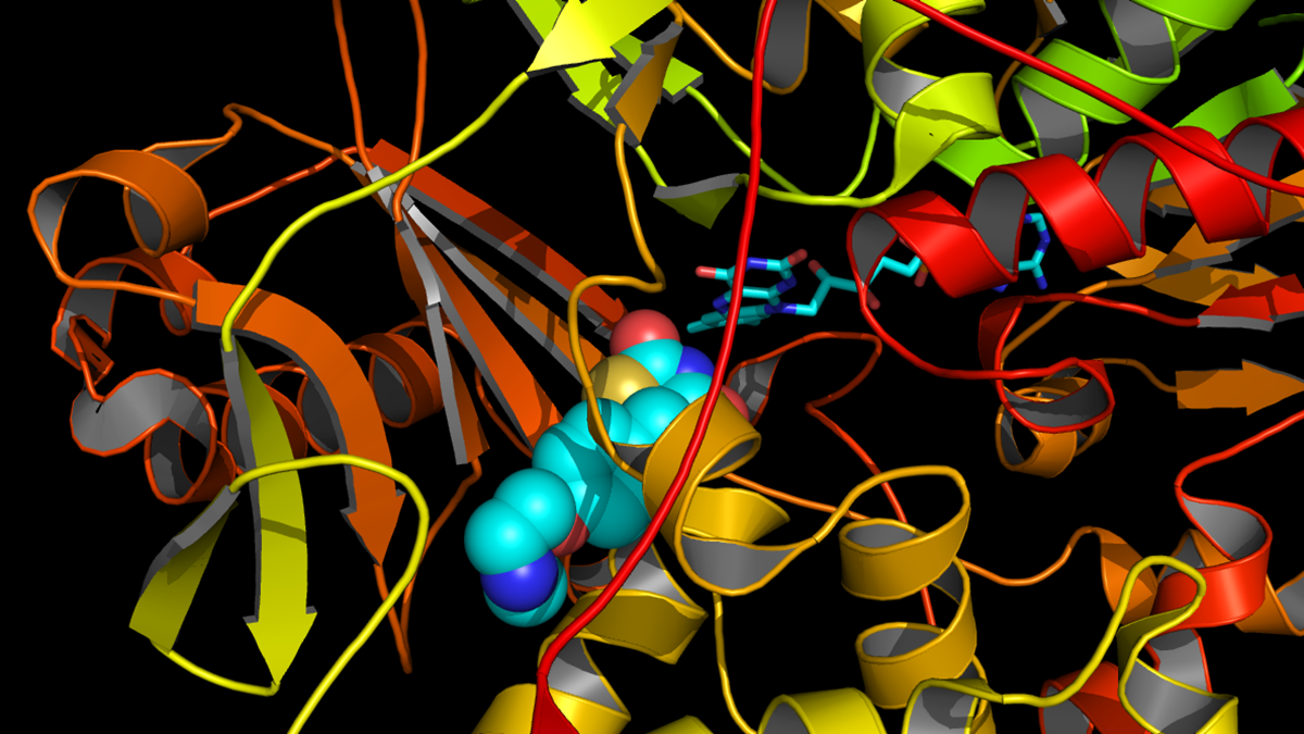 The crystal structure of the monoamine oxidase B (MAO-B) enzyme with the anti-diabetic drug rosiglitazone co-crystalized shows the molecular interaction between the drug and the protein. This information can be used to rationally design novel compounds to be used in a variety of neurological diseases including Parkinson’s disease. 